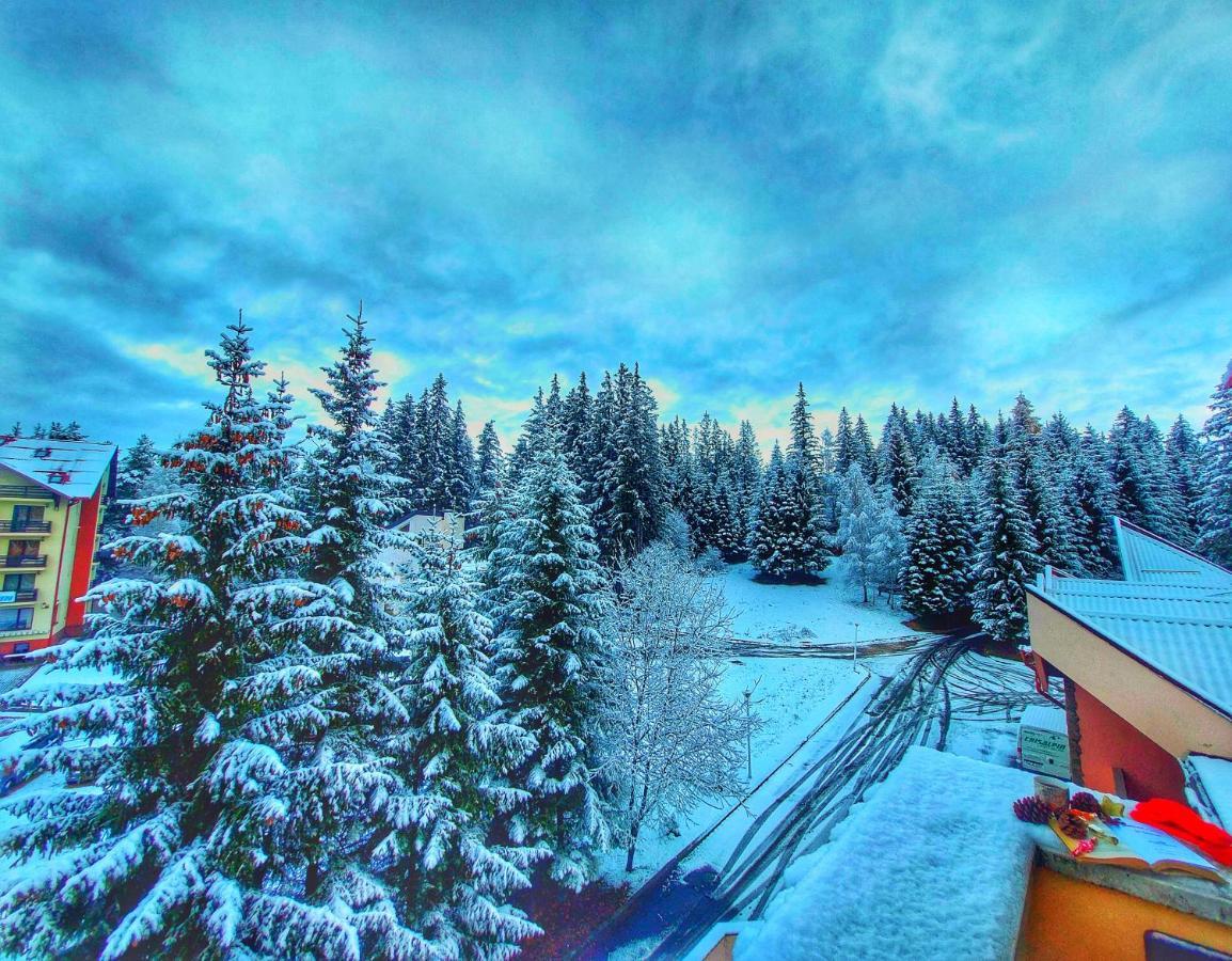 Vila Simonte Poiana Brasov Hotel Exterior foto